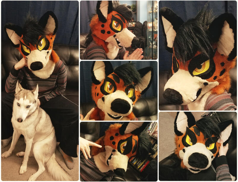 Commission; Collab: Sammy Smiles Co (lining, furring, installation) Commission; Collab: Sammy Smiles Co (lining, furring, installation)